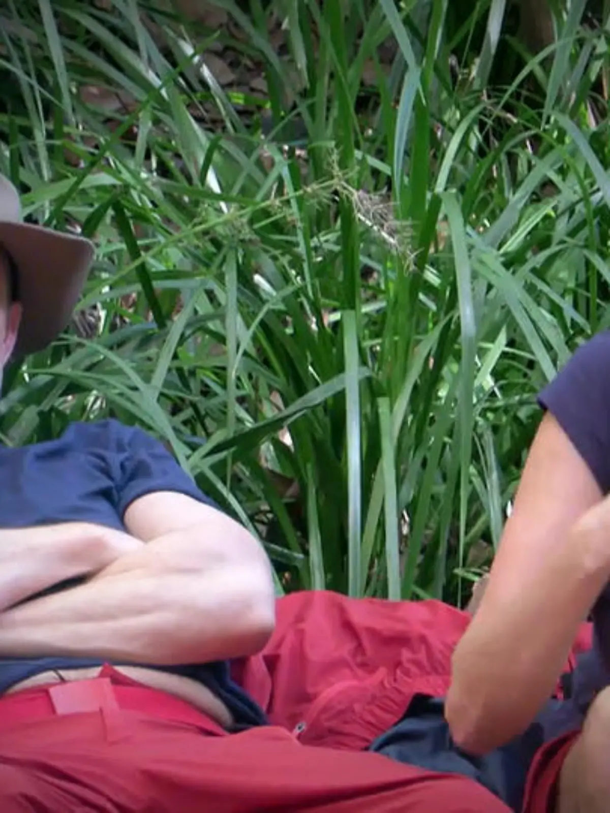 Bild zu: "Tag 4 im Dschungelcamp: Was kommt heute raus?"