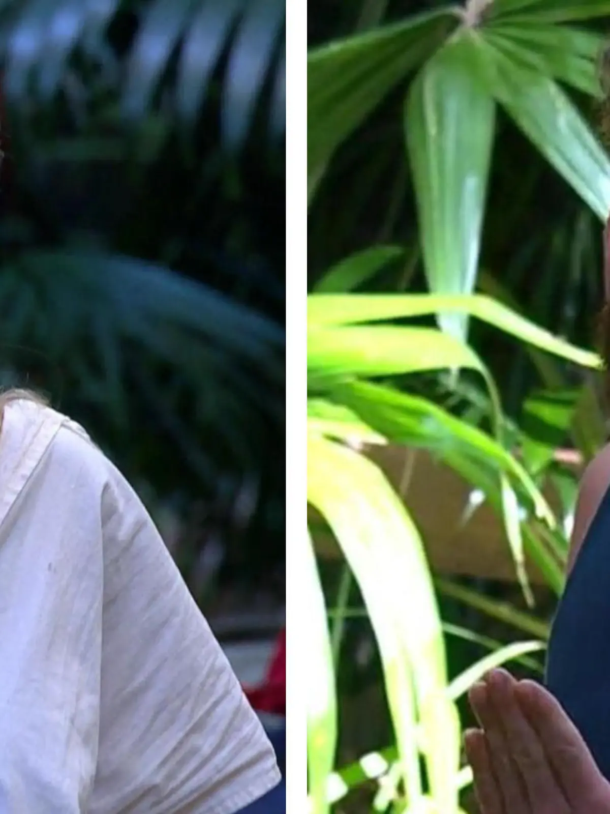 Bild zu: "Abgesprochene Lovestory? Zwischen Ariel und Umut Tekin knallt’s heftig"