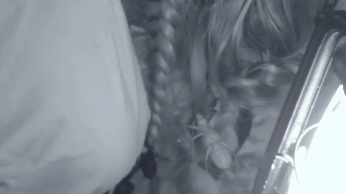 Was hat Nicole da im Haar??!! Unmut und Patrick retten Dschungel live