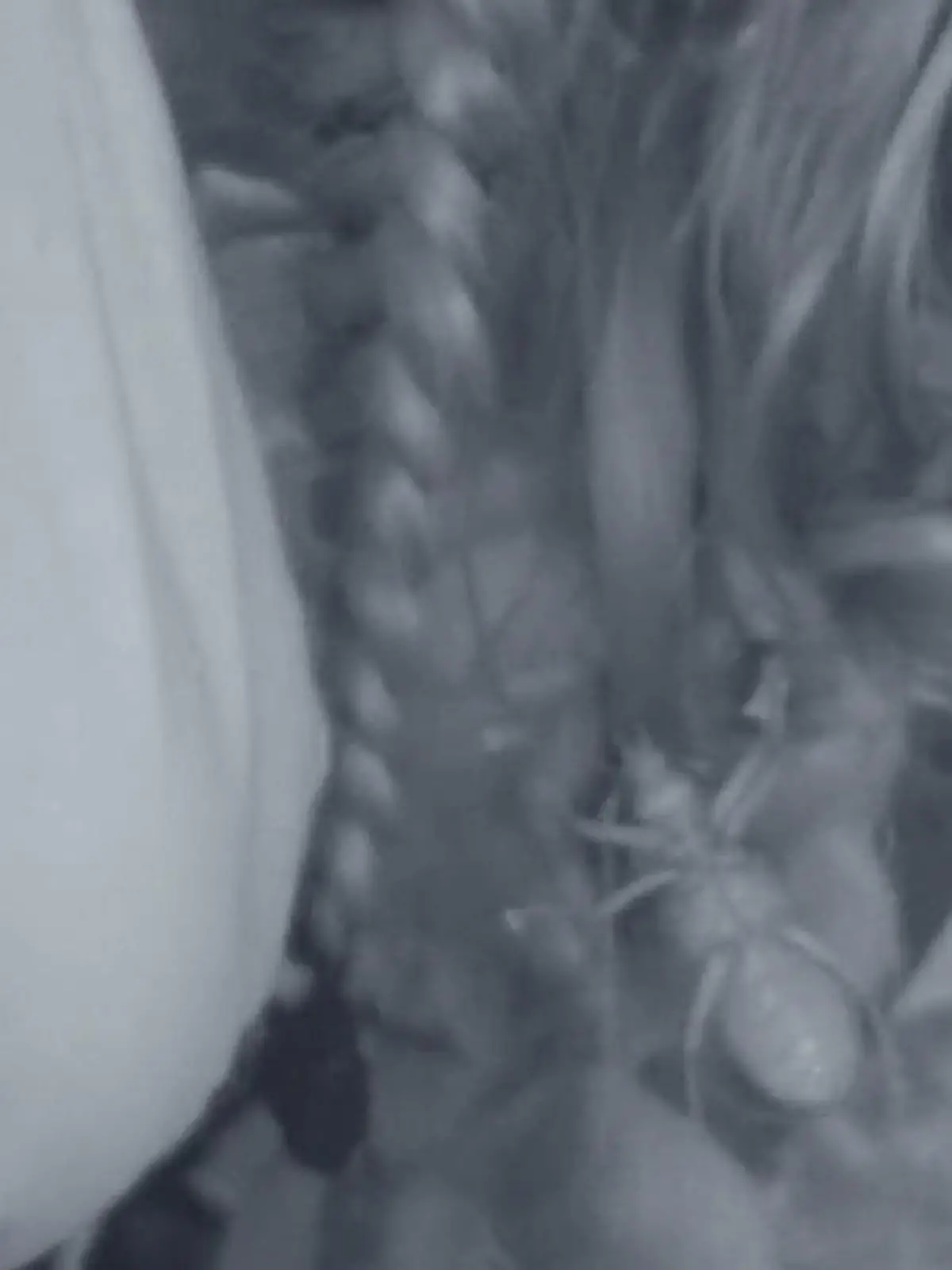 Bild zu: "Was hat Nicole da im Haar??!! Unmut und Patrick retten"