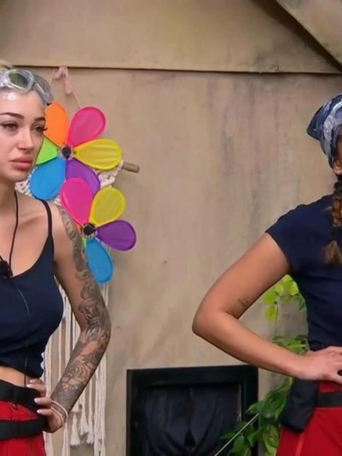 Bild zu: "Unfassbare Begründung! Darum verweigert Ariel die Dschungelprüfung"