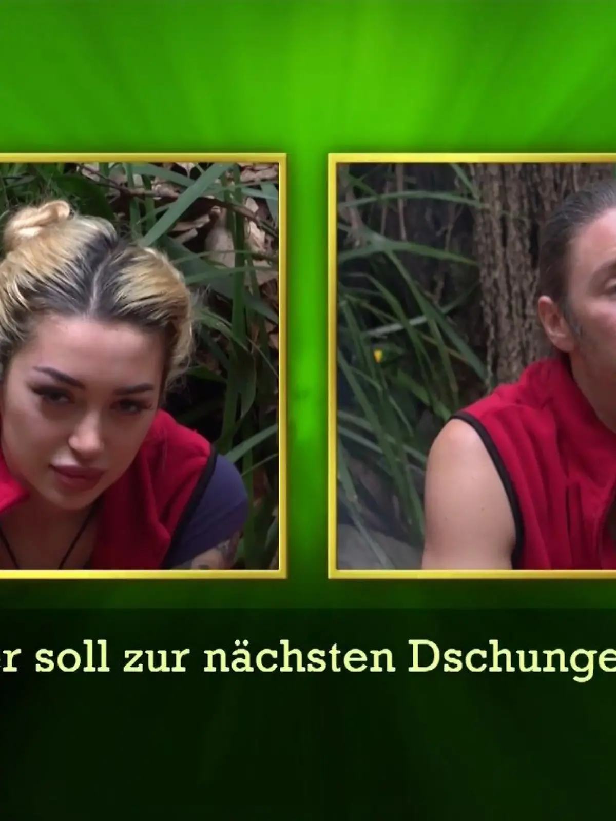 Bild zu: "Wer muss an Tag 5 in die Dschungelprüfung? Ihr habt entschieden!"