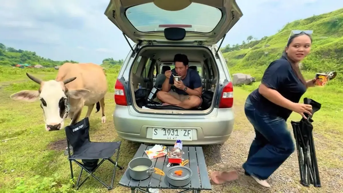Zum Kreischen komisch! Während Picknick – Paar wird von Kuh attackiert Ganz schön verfressen