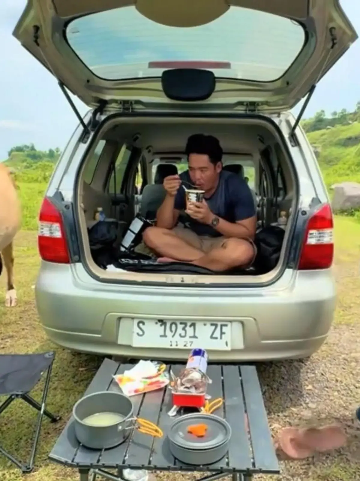 Bild zu: "Zum Kreischen komisch! Während Picknick – Paar wird von Kuh attackiert"