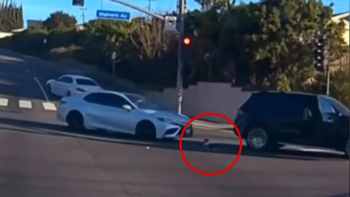 Unfall-in-Fullerton-Kalifornien-Kleinkind-wird-aus-Auto-geschleudert-Polizei-verhaftet-Mutter