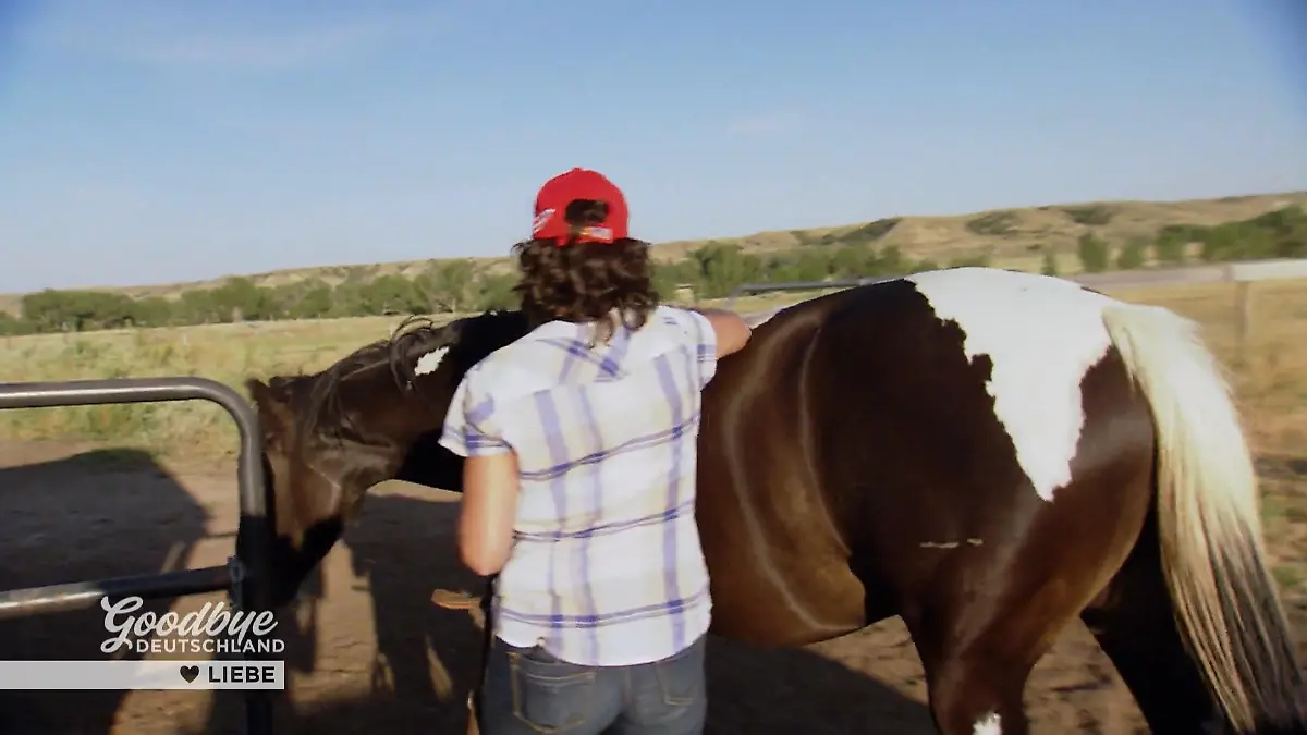 Siggi setzt alles auf Fredi Ohne Netz und doppelten Boden