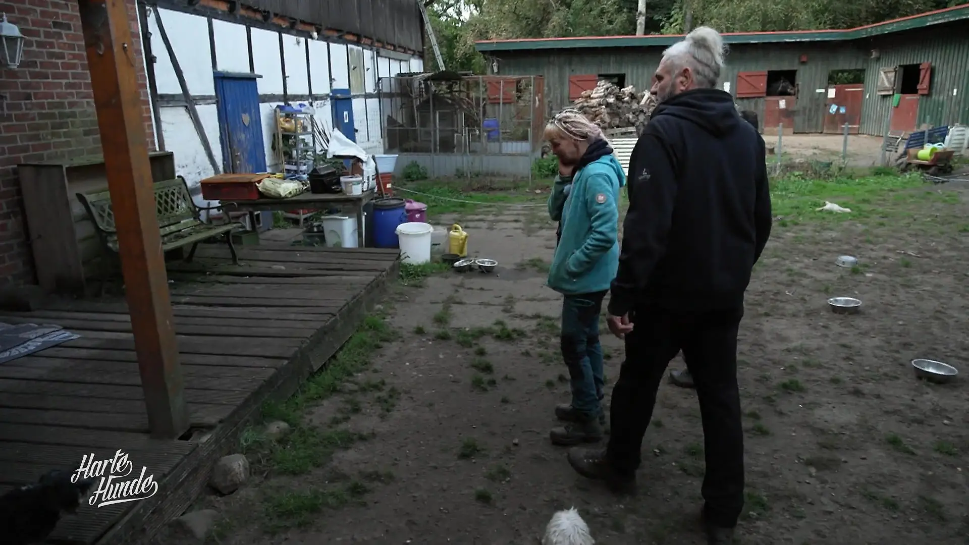 Ralf Seeger packt fürs Tierhospiz an Einsatz im Tierhospiz