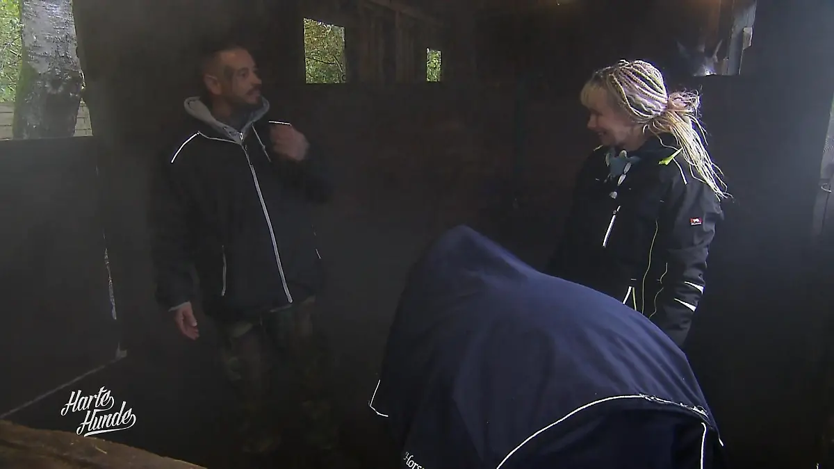 Steve feiert den Salznebel Wellness für Pferdelungen