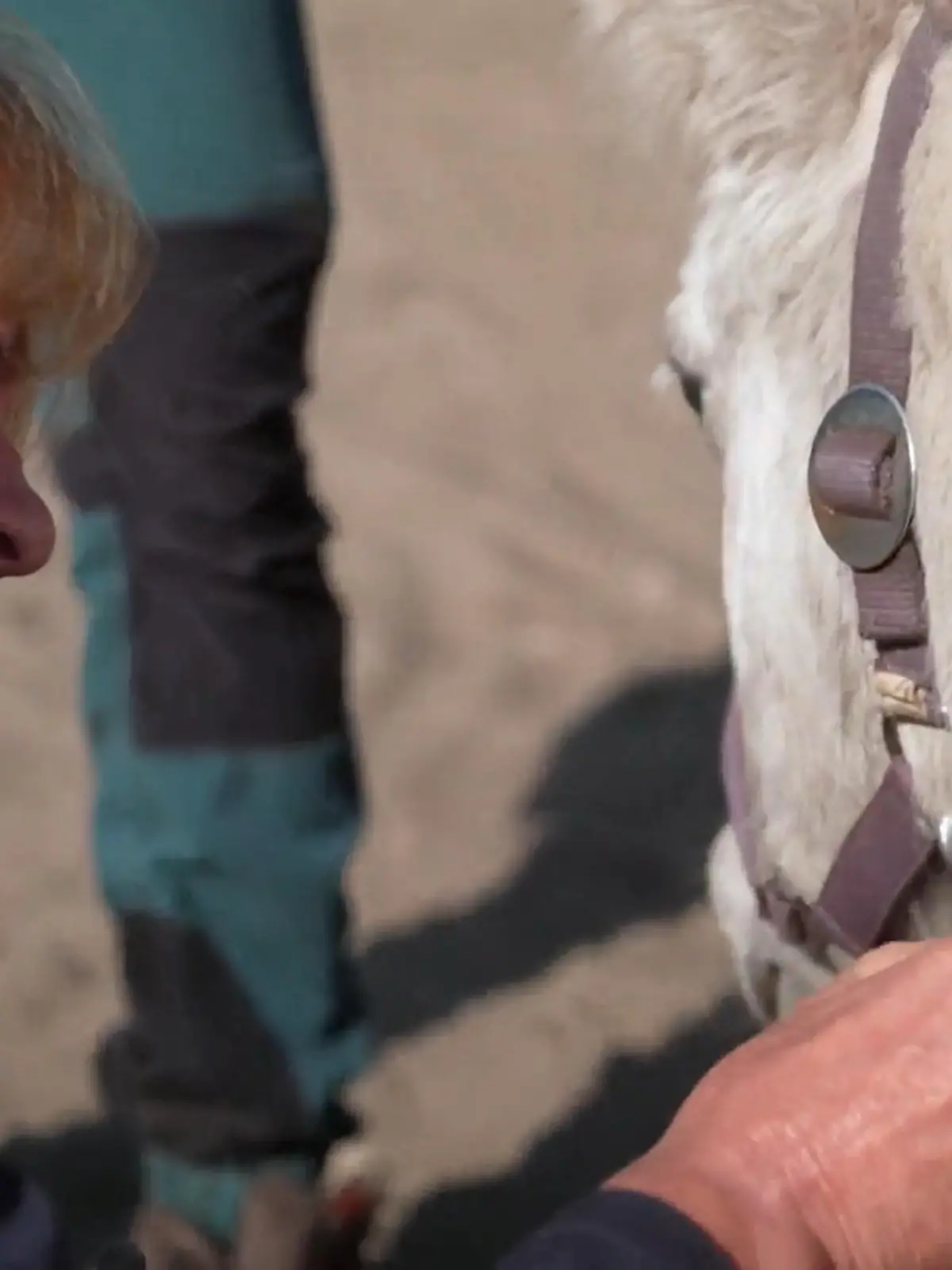 Bild zu: "Baustelle läuft – Sorge um Sushi bleibt"