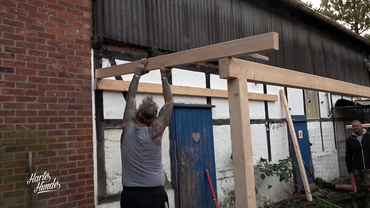 Schaffen die 'Harten Hunde' alle drei Projekte? Endspurt