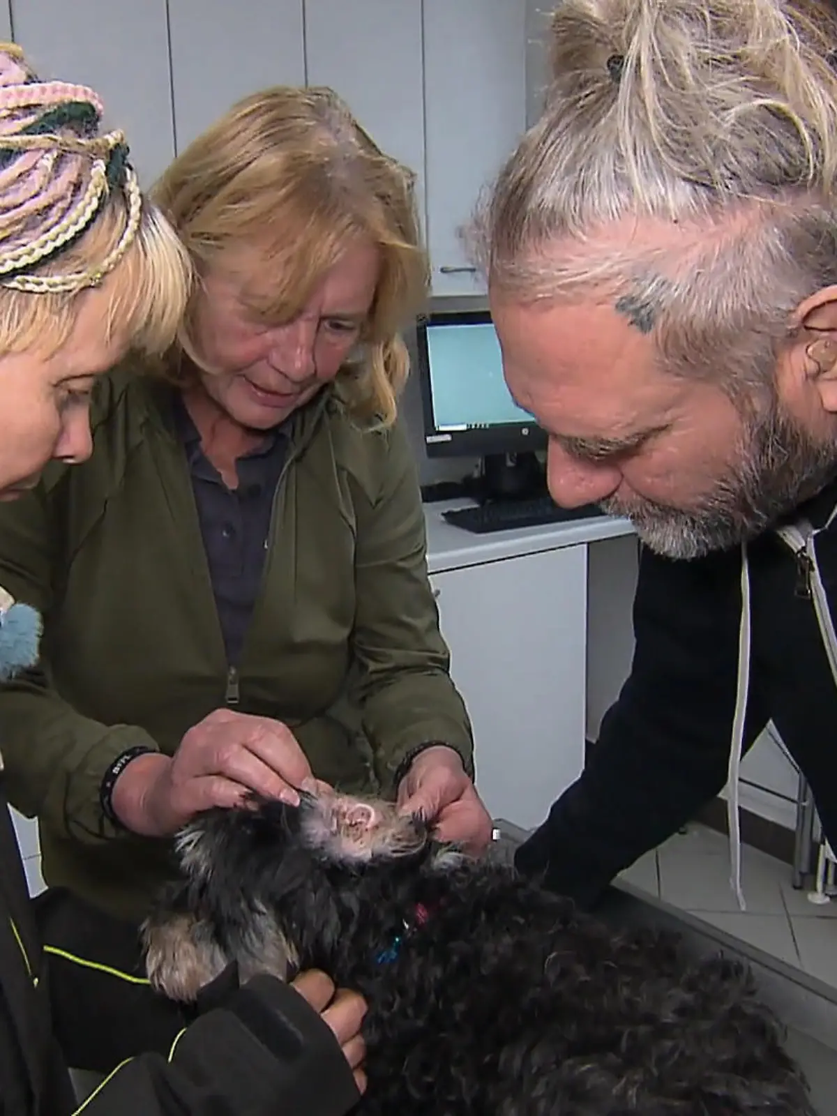 Bild zu: "Ohren-Reinigung bei Cookie"