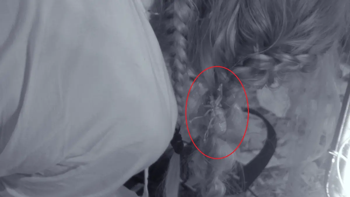 Mitten in der Nacht wurde Nicole von einem Insekt angegriffen.