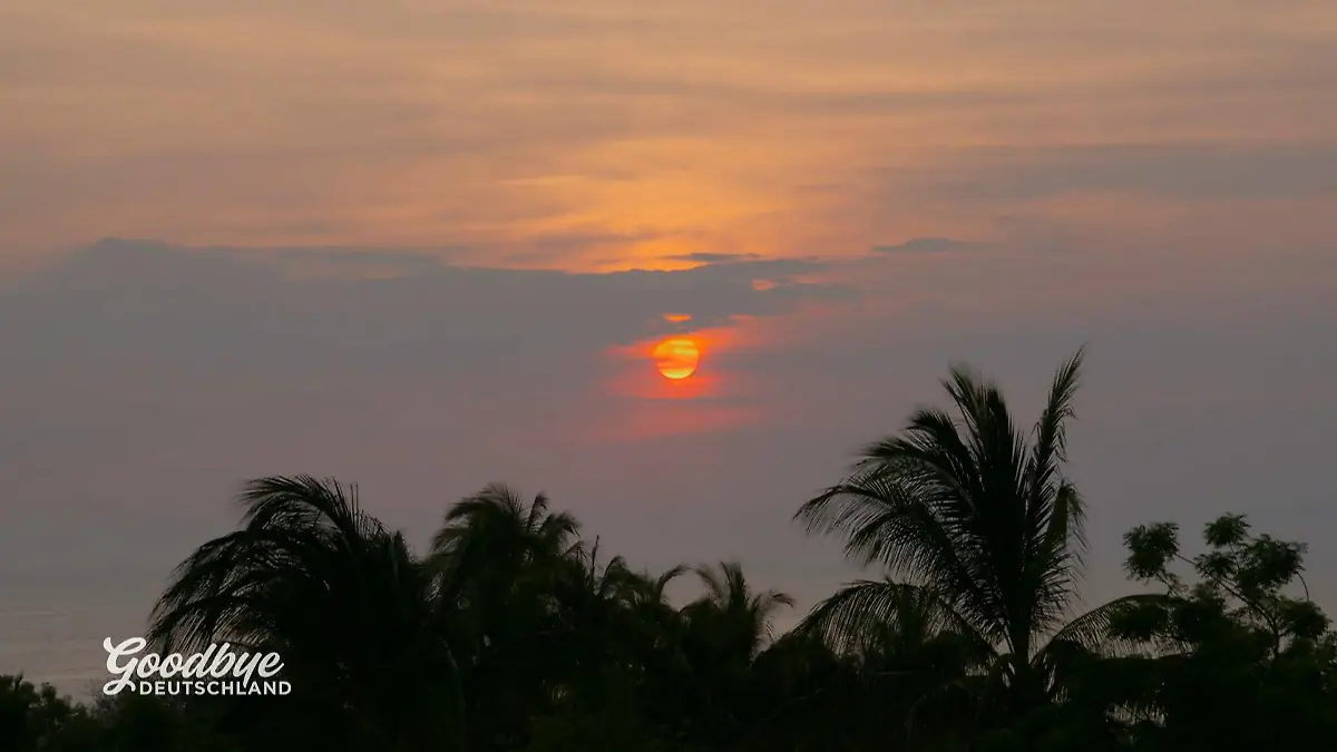 Alice findet nicht nur Erfolg sondern auch Liebe in Mexico "Von Gast zu Geschäftsführer"