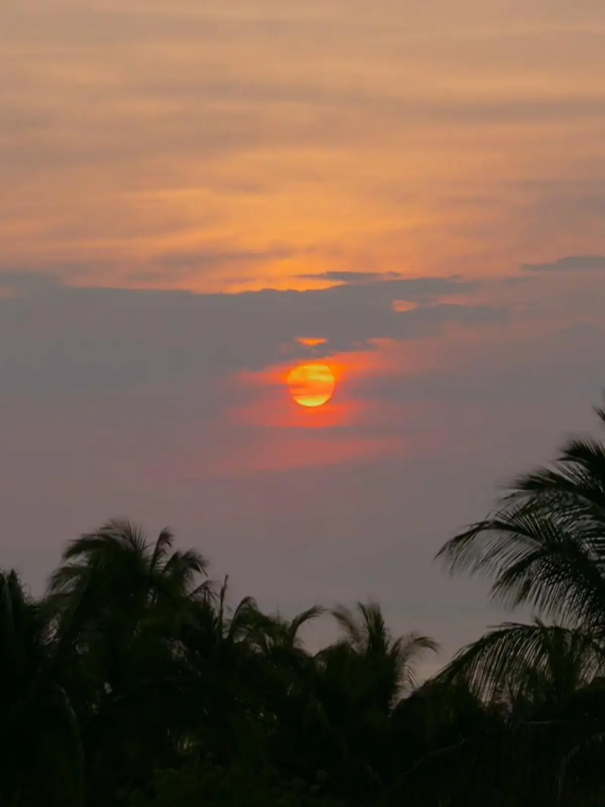 Bild zu: "Alice findet nicht nur Erfolg sondern auch Liebe in Mexico"