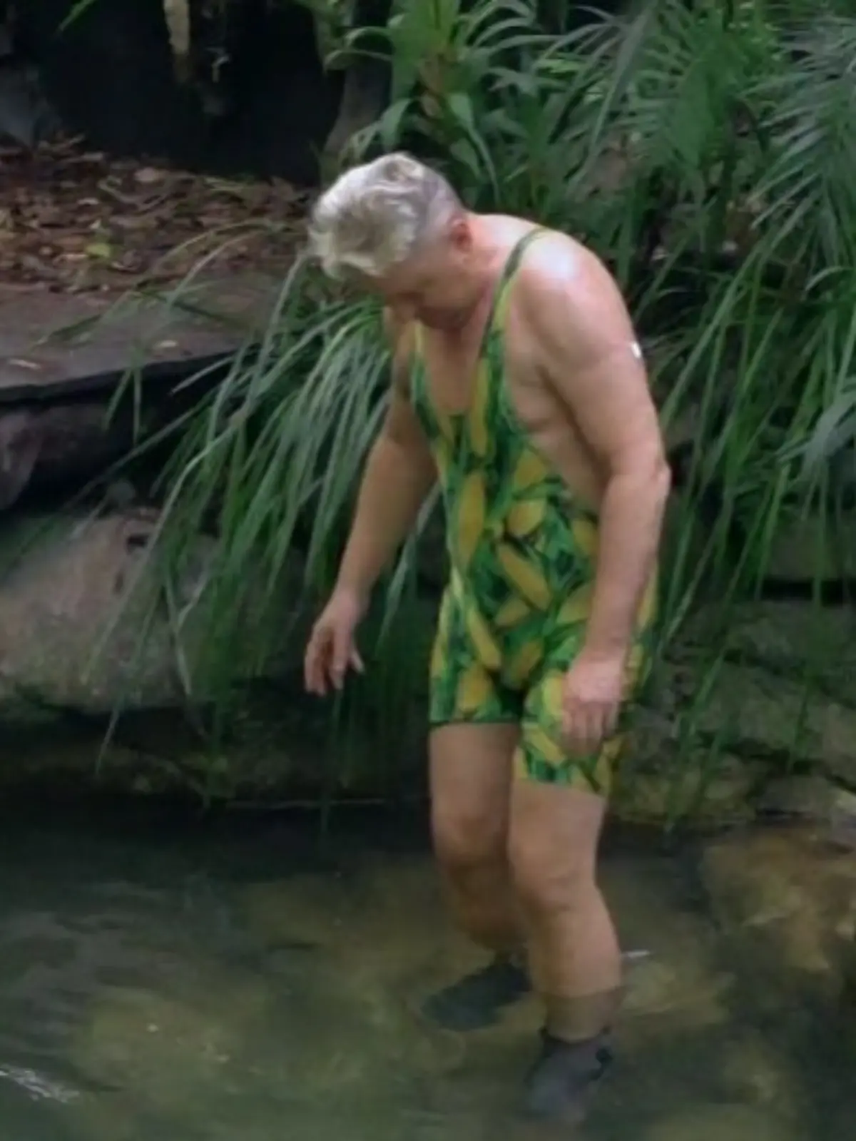 Bild zu: "Revival im Dschungelcamp! Hubert Fellas Schwiegermutter lüftet das Maiskini-Geheimnis"