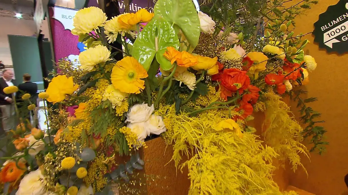 Pflanzenmesse in Essen Messehallen blühen auf