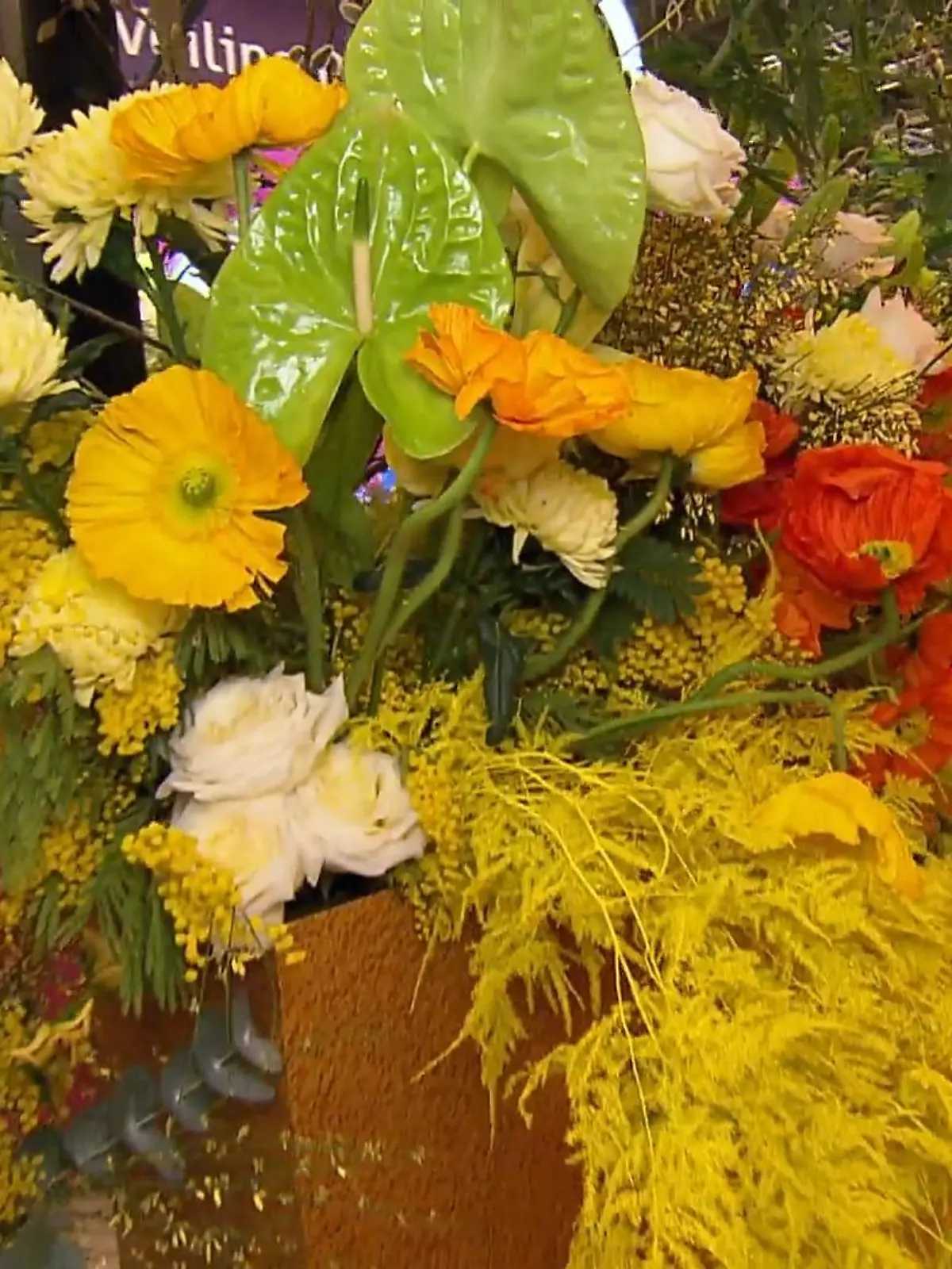 Bild zu: "Pflanzenmesse in Essen"