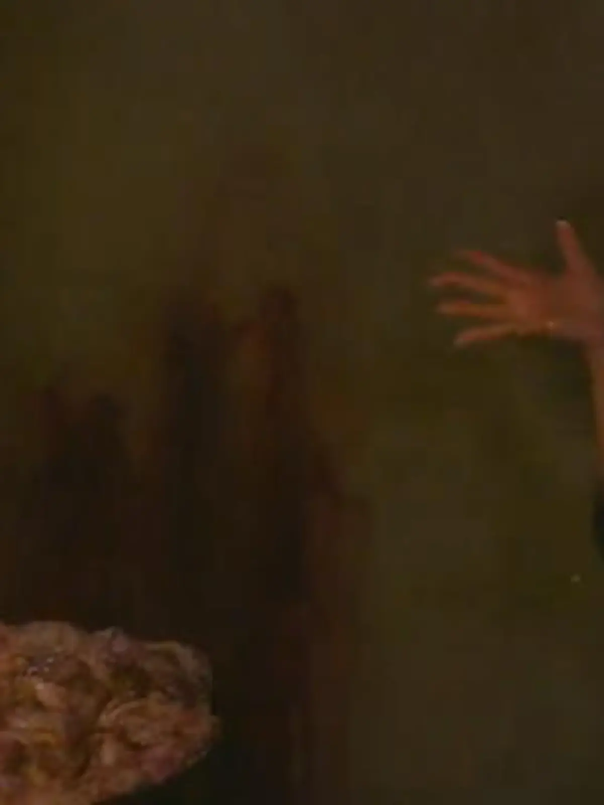 Bild zu: "Respekt, Ariel! 4 Sterne fürs Camp"