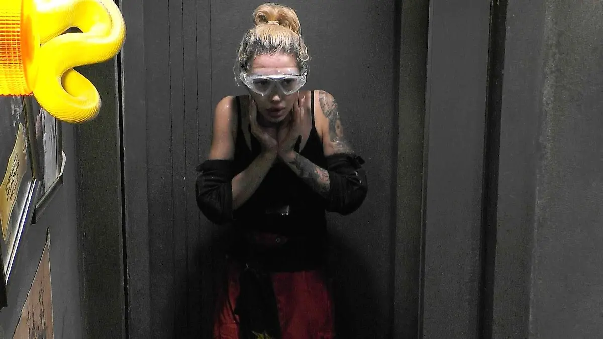 Tag 5: Dschungelprüfungs-Bähro