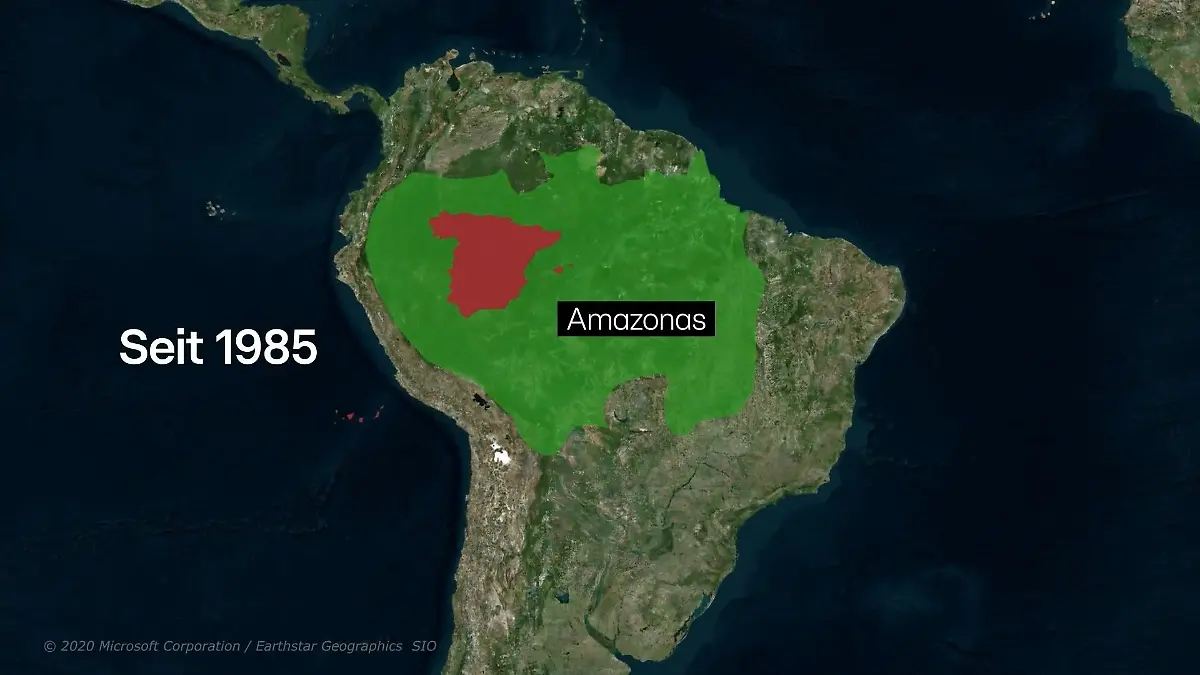Gute Nachricht für den Amazonas Dringender Schutz nötig