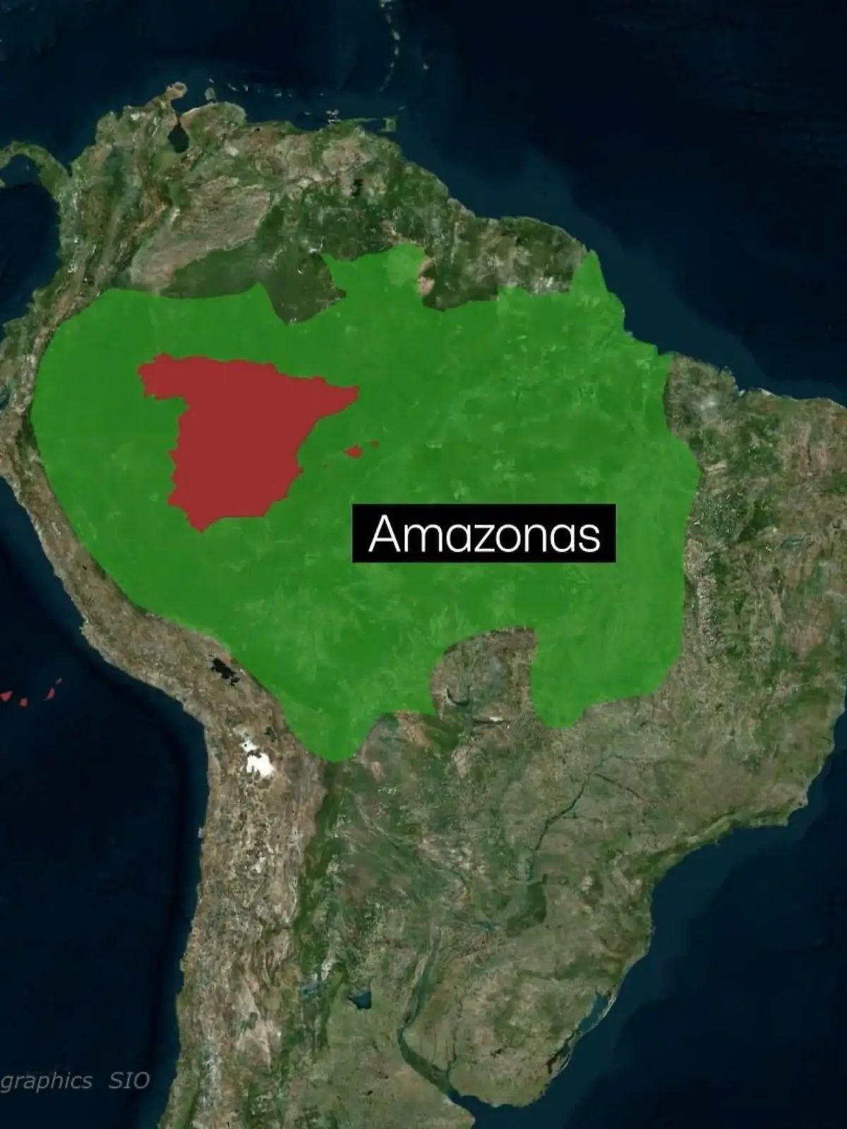 Bild zu: "Gute Nachricht für den Amazonas"