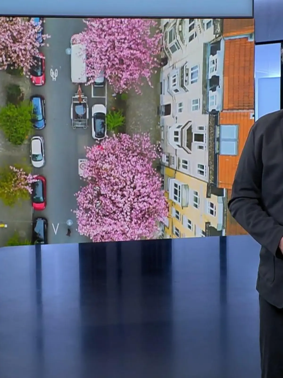 Bild zu: "Innovative Stadtbegrünung in den Niederlanden"