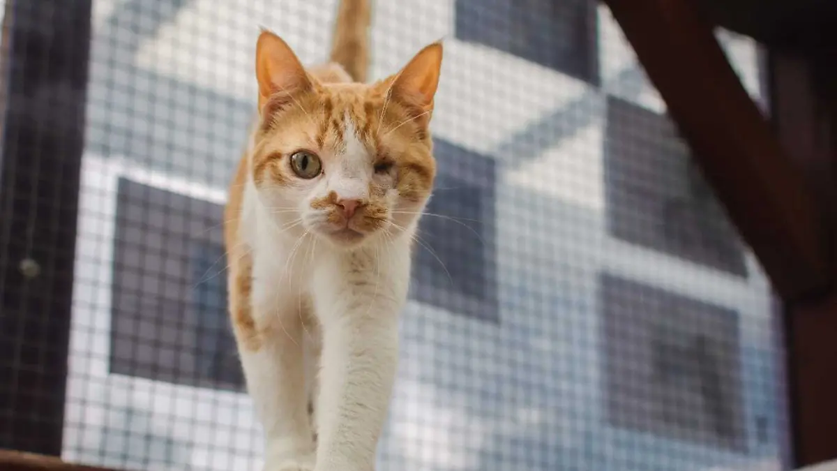 WhatsApp Image 2026-01-27 at 17.16.21.jpeg