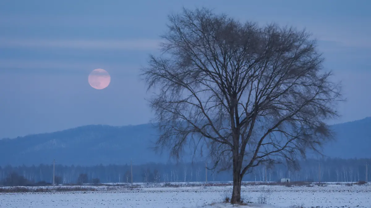 Am 1. Februar könnt ihr den Vollmond namens Schneemond bestaunen!