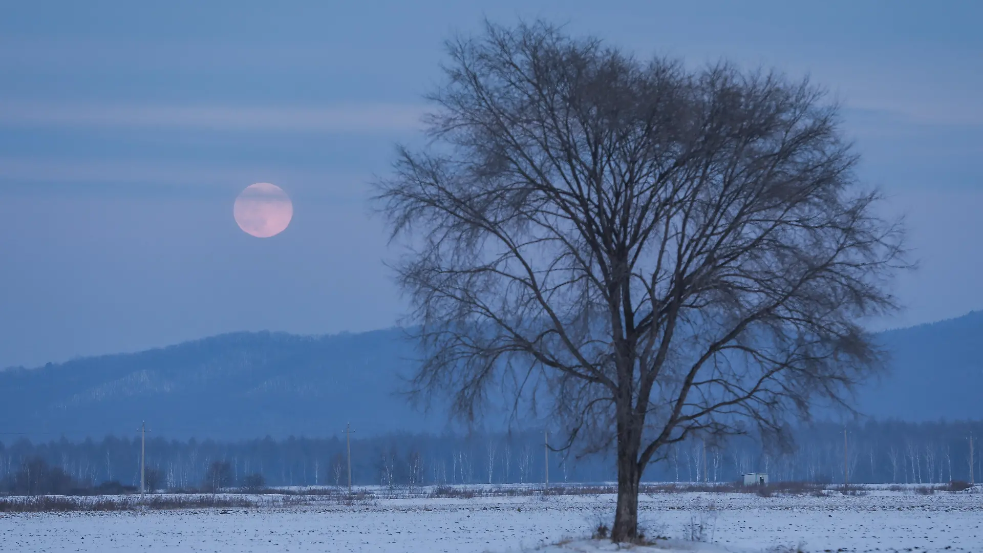 Am 1. Februar könnt ihr den Vollmond namens Schneemond bestaunen!