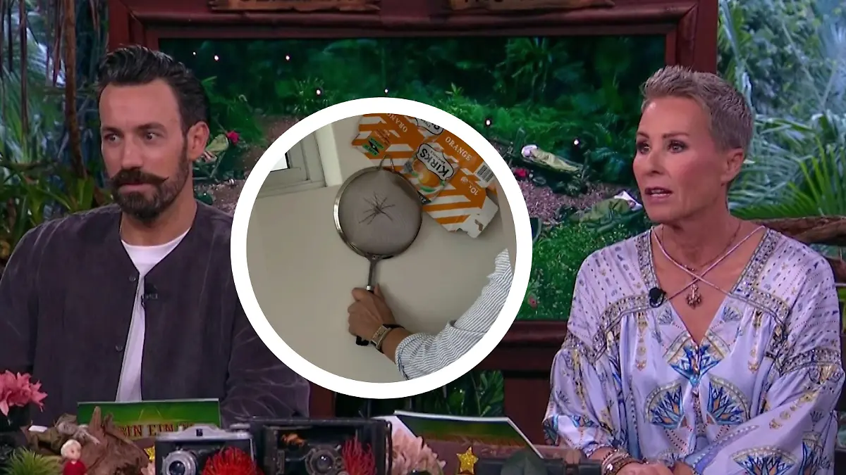 Bild zu: "Ekel-Alarm nach Dschungelshow! Riesenspinne taucht plötzlich in Sonja Zietlows Zuhause auf"