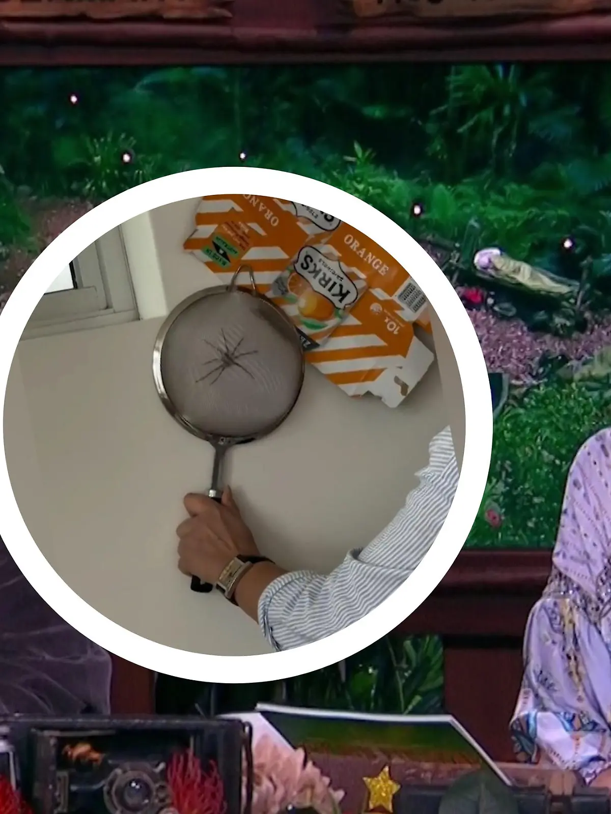 Bild zu: "Ekel-Alarm nach Dschungelshow! Riesenspinne taucht plötzlich in Sonja Zietlows Zuhause auf"