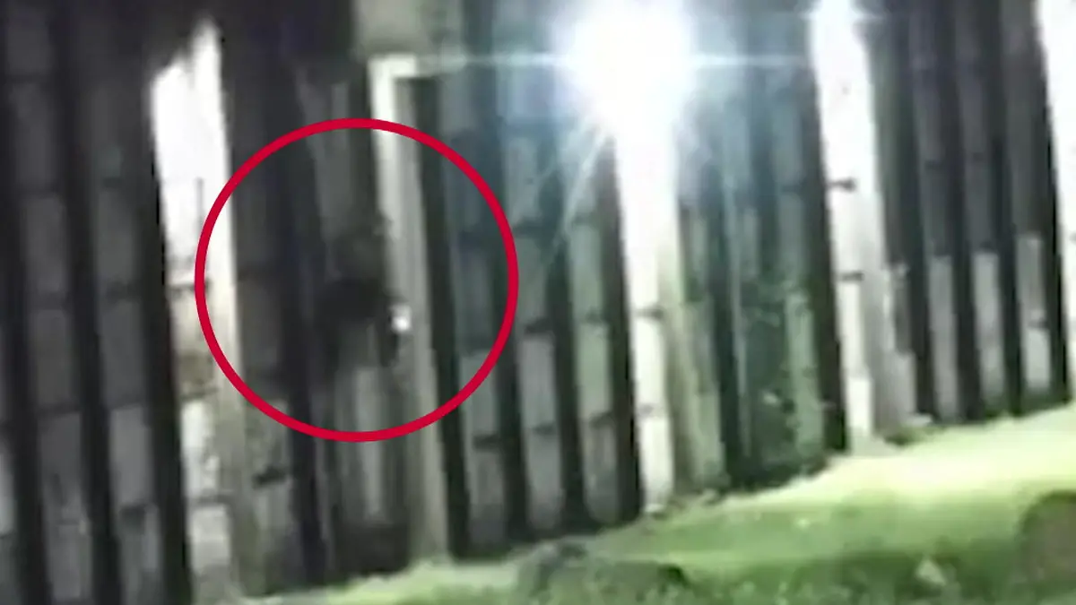 Gefängnisausbruch scheitert nach wenigen Metern – weil Wärter schlauer sind! Verstecken bringt nichts!