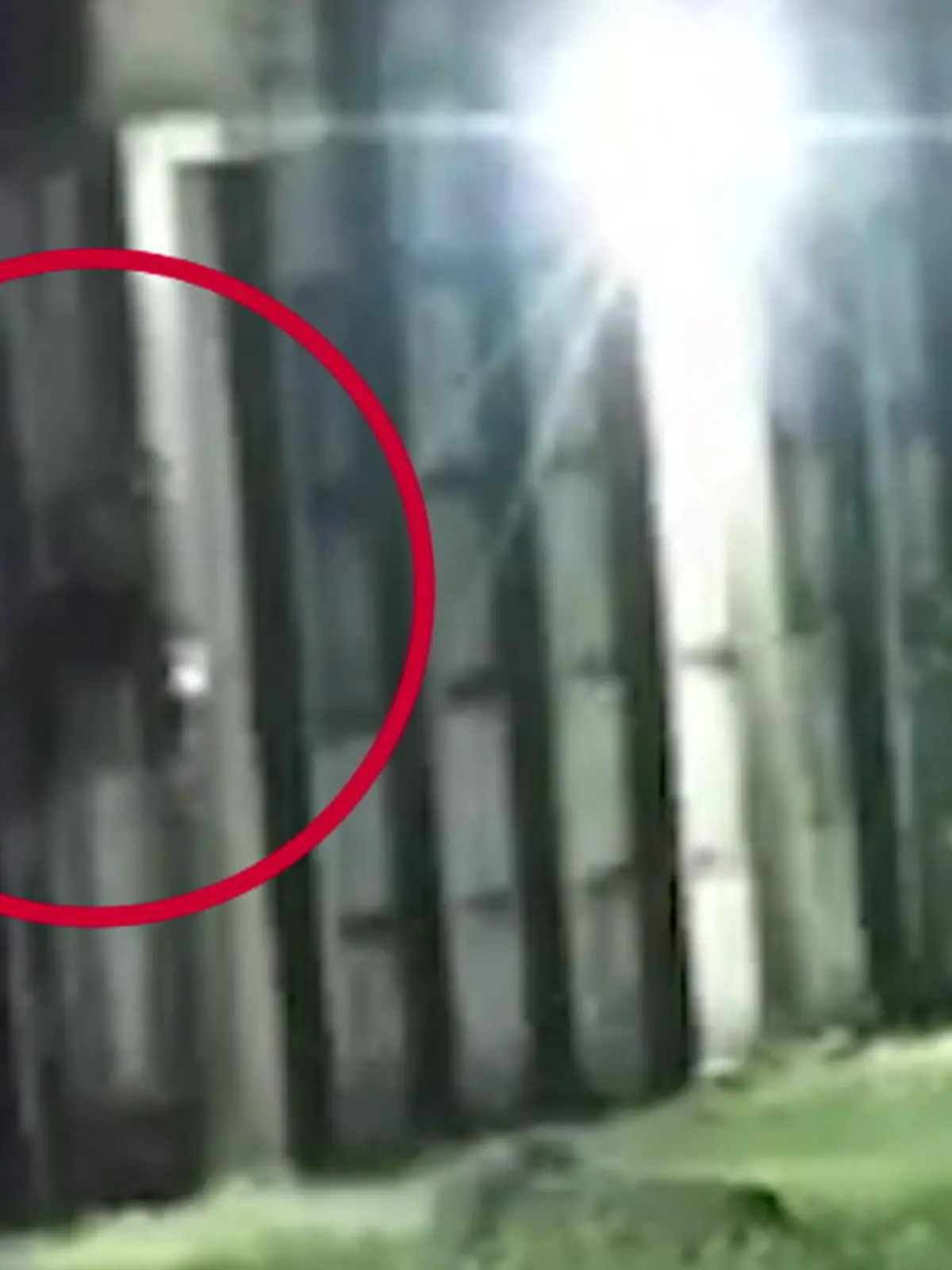 Bild zu: "Gefängnisausbruch scheitert nach wenigen Metern – weil Wärter schlauer sind!"