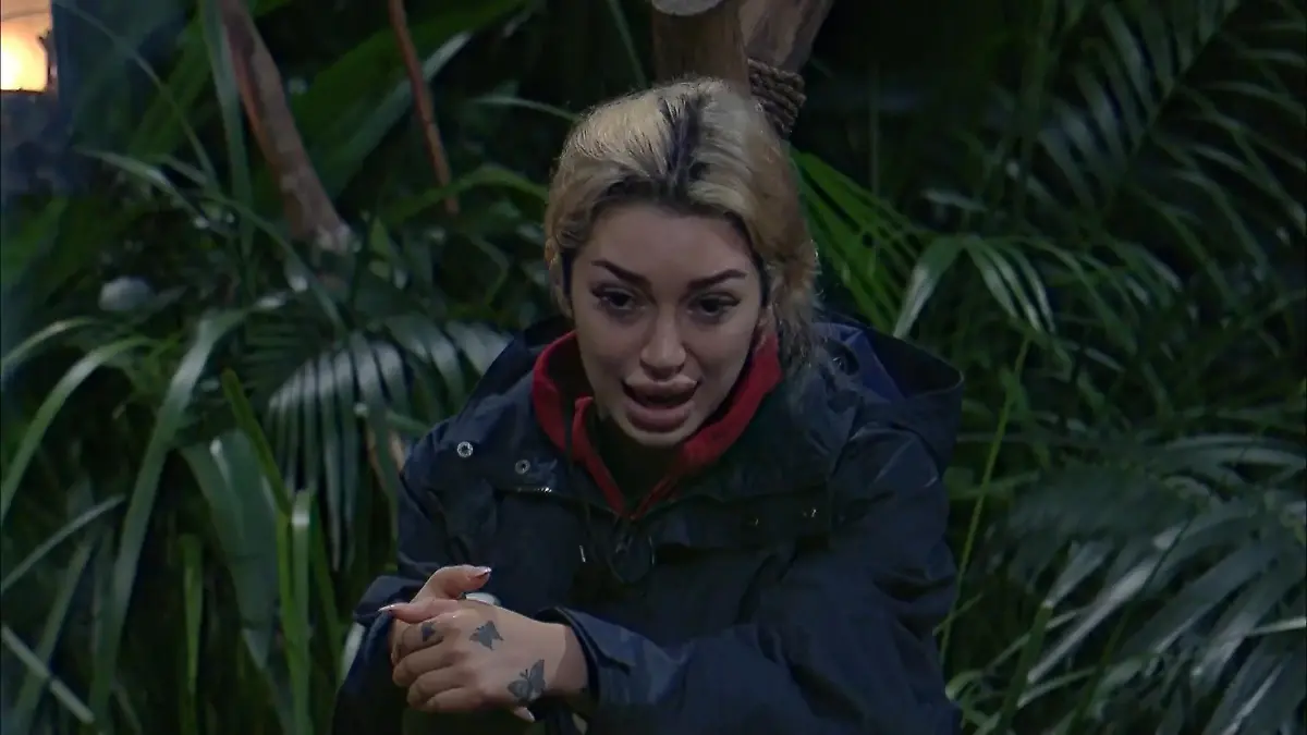 Bett mit Gil tauschen? Nicht mit Ariel! Streit im Dschungelcamp eskaliert