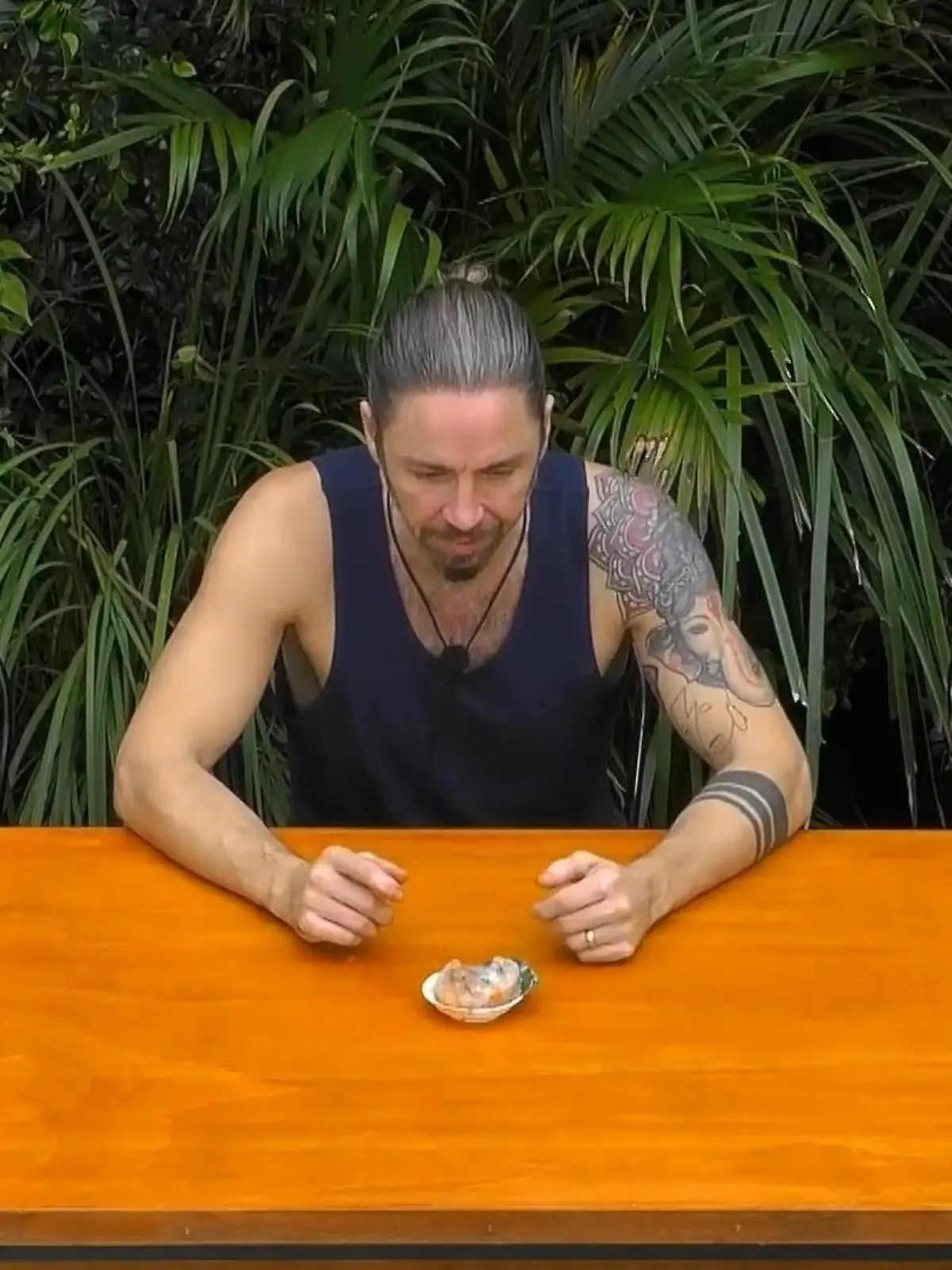 Bild zu: "In dieser Prüfung zeigt nur Gil Biss"