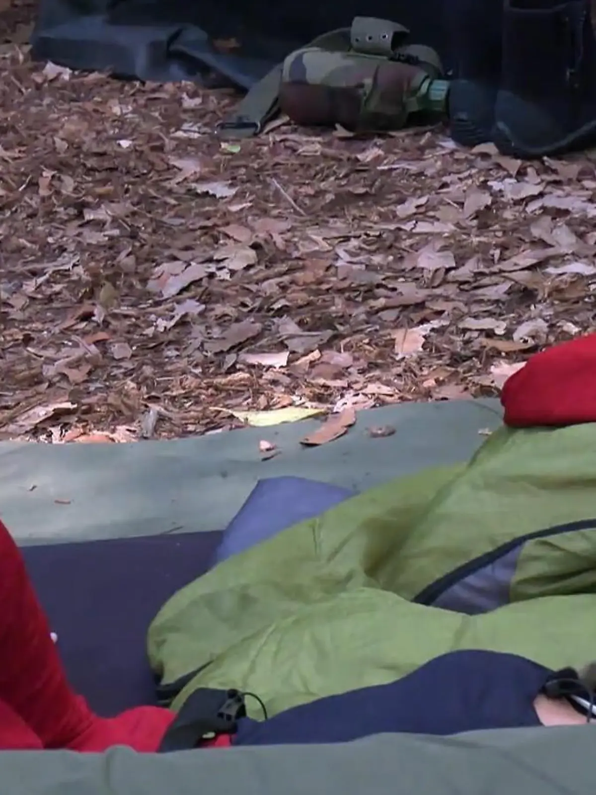 Bild zu: "Dschungelcamp-Kandidatin Eva Benetatou entschuldigt sich bei Ariel"