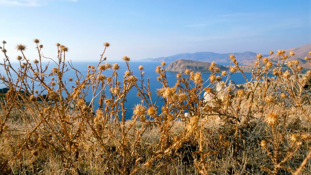 DIe Insel Thasos