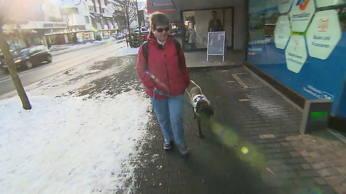 Blindenhunde als treue Begleiter Helden auf vier Pfoten