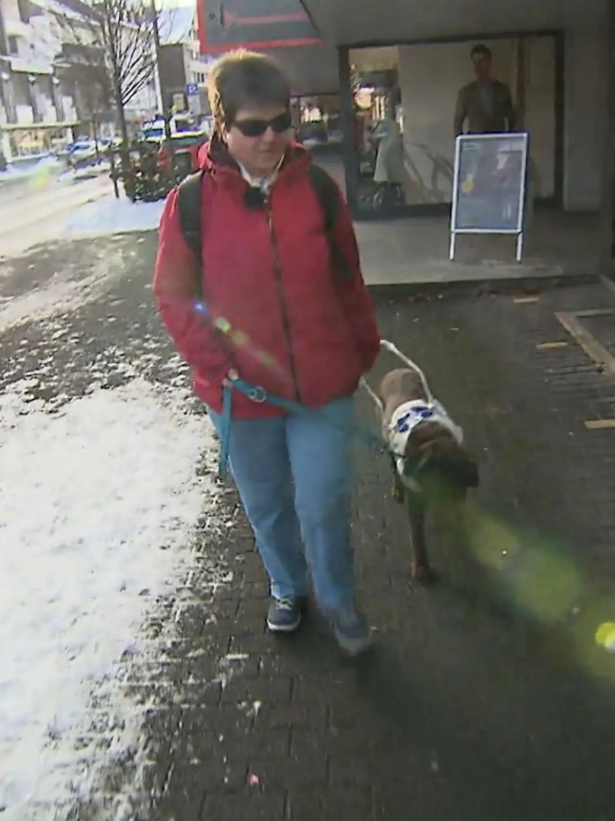 Bild zu: "Blindenhunde als treue Begleiter"