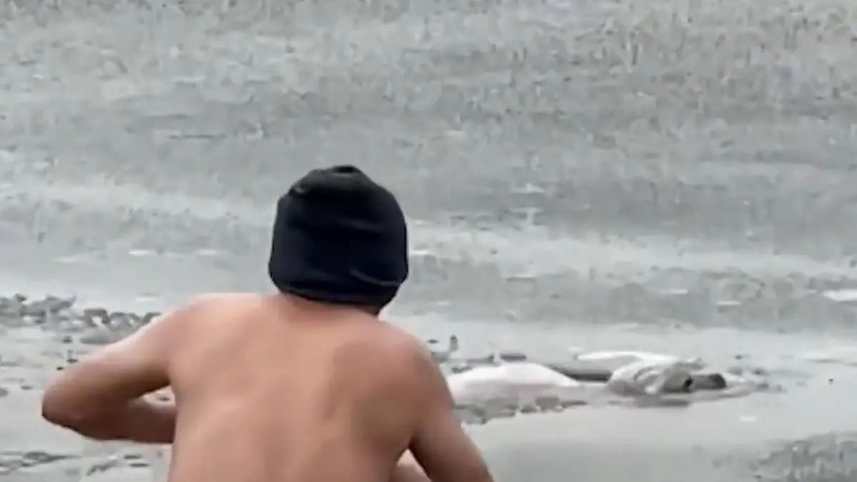 Welpe droht zu ertrinken! Mann springt zu ihm ins Eiswasser – in letzter Sekunde Er winselt um Hilfe