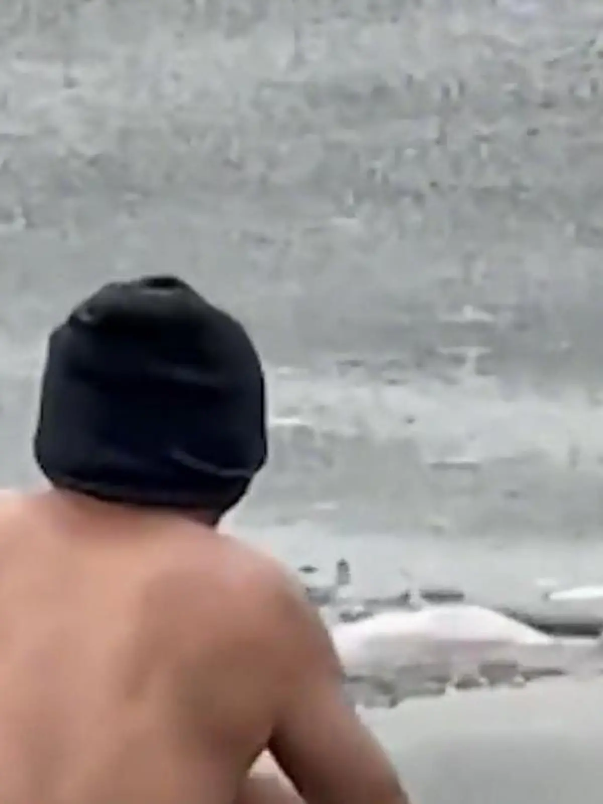 Bild zu: "Welpe droht zu ertrinken! Mann springt zu ihm ins Eiswasser – in letzter Sekunde"