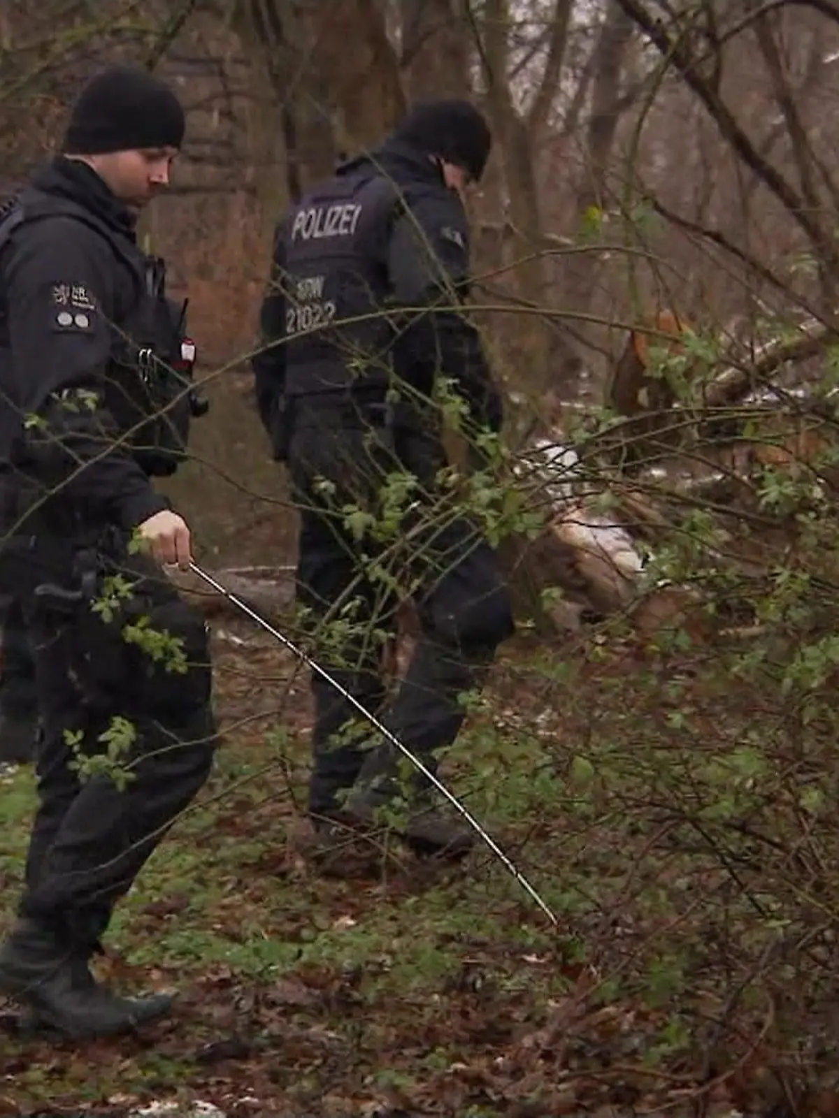 Bild zu: "Spaziergänger findet Leiche von totem 14-Jährigen"