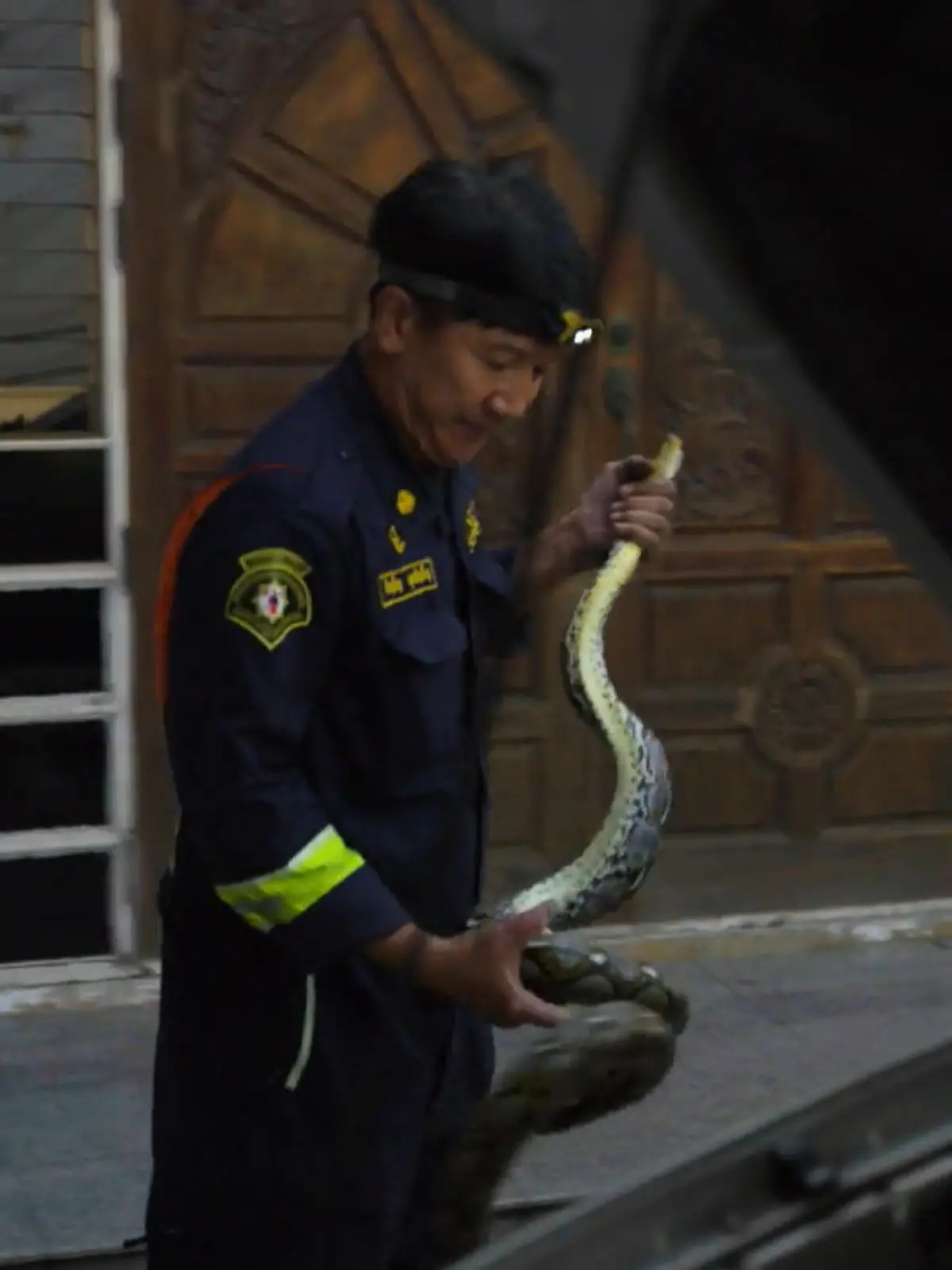 Bild zu: "Schlangenfänger Pinyo zeigt Kindern den richtigen Umgang mit den Reptilien"