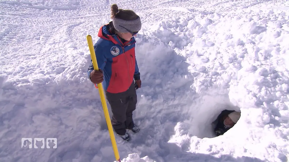 Floki sucht Kate im Schnee Ernstfall-Training