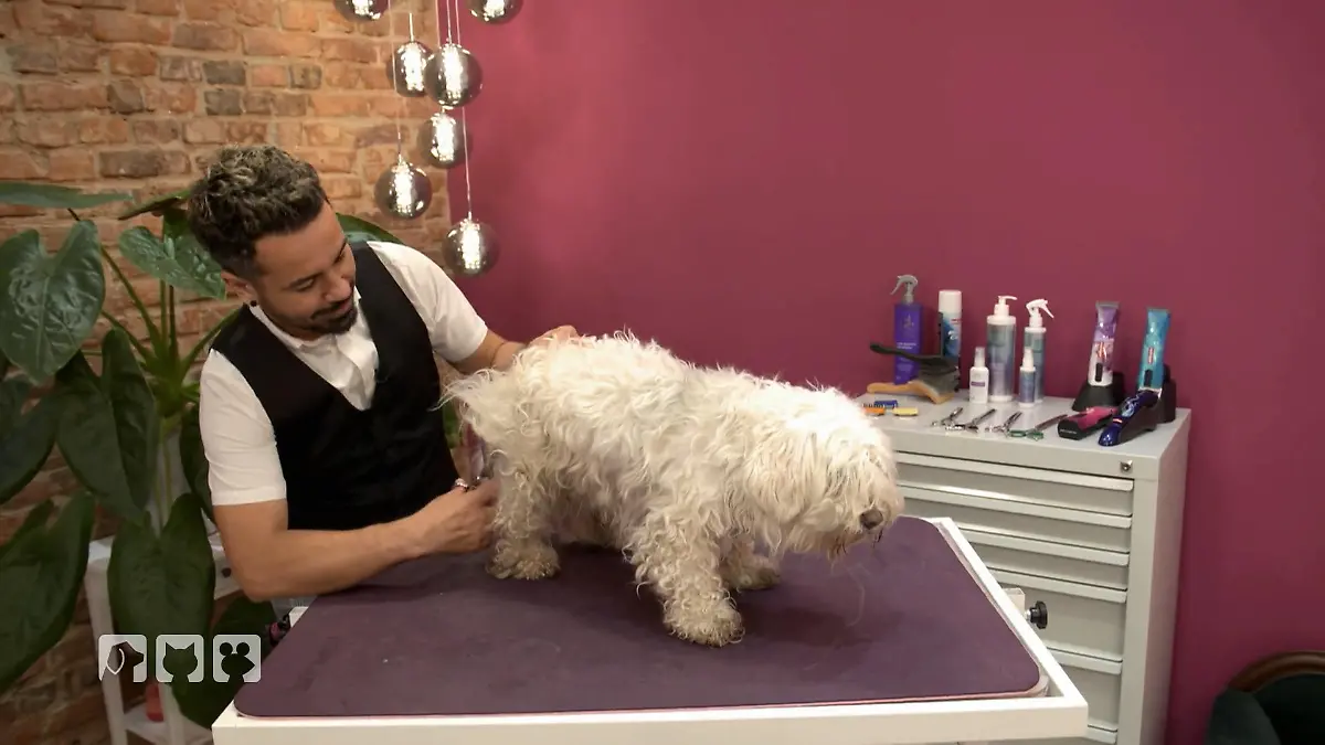 Rumli braucht ein Rettungs-Makeover 