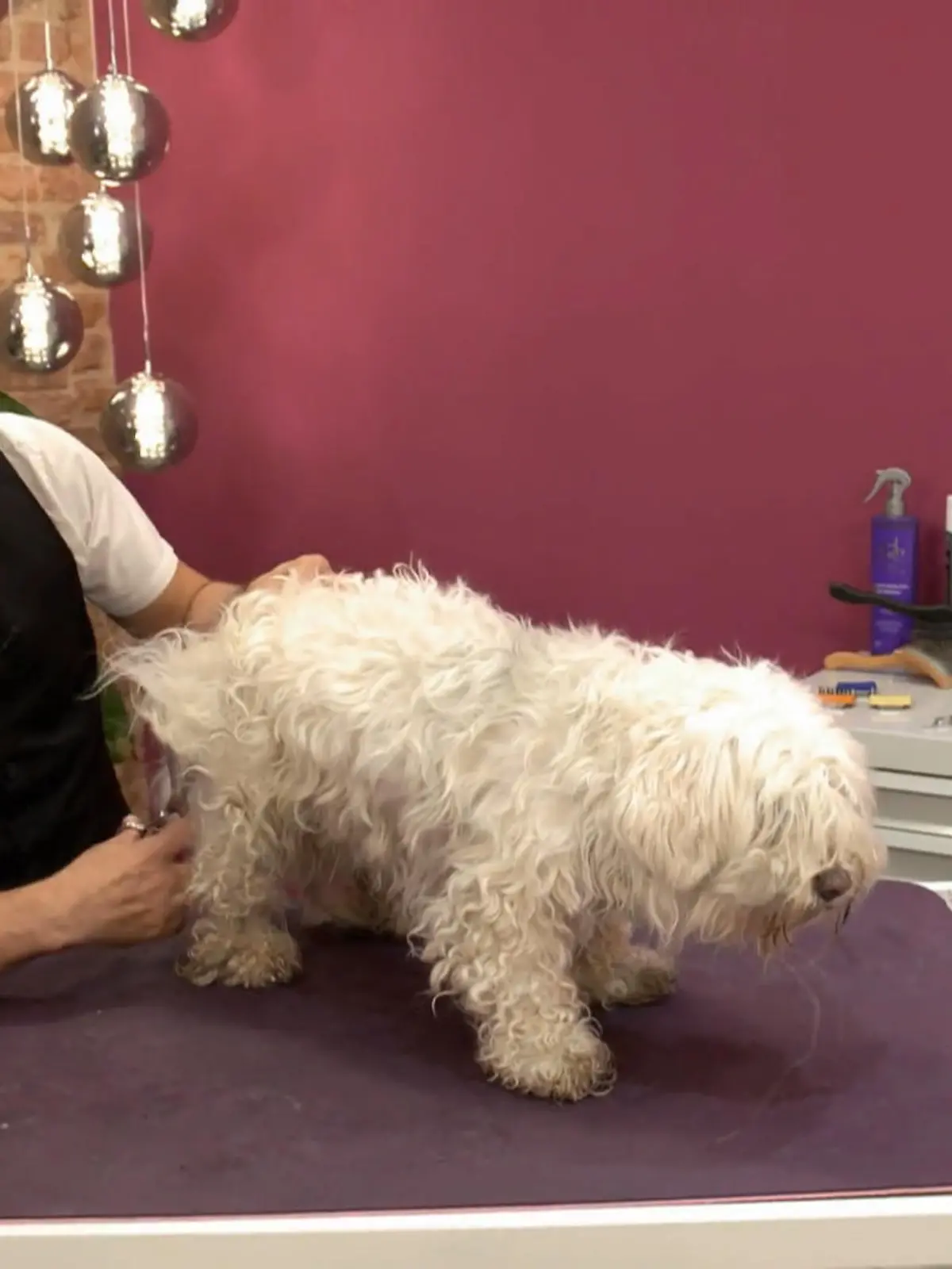 Bild zu: "Rumli braucht ein Rettungs-Makeover"