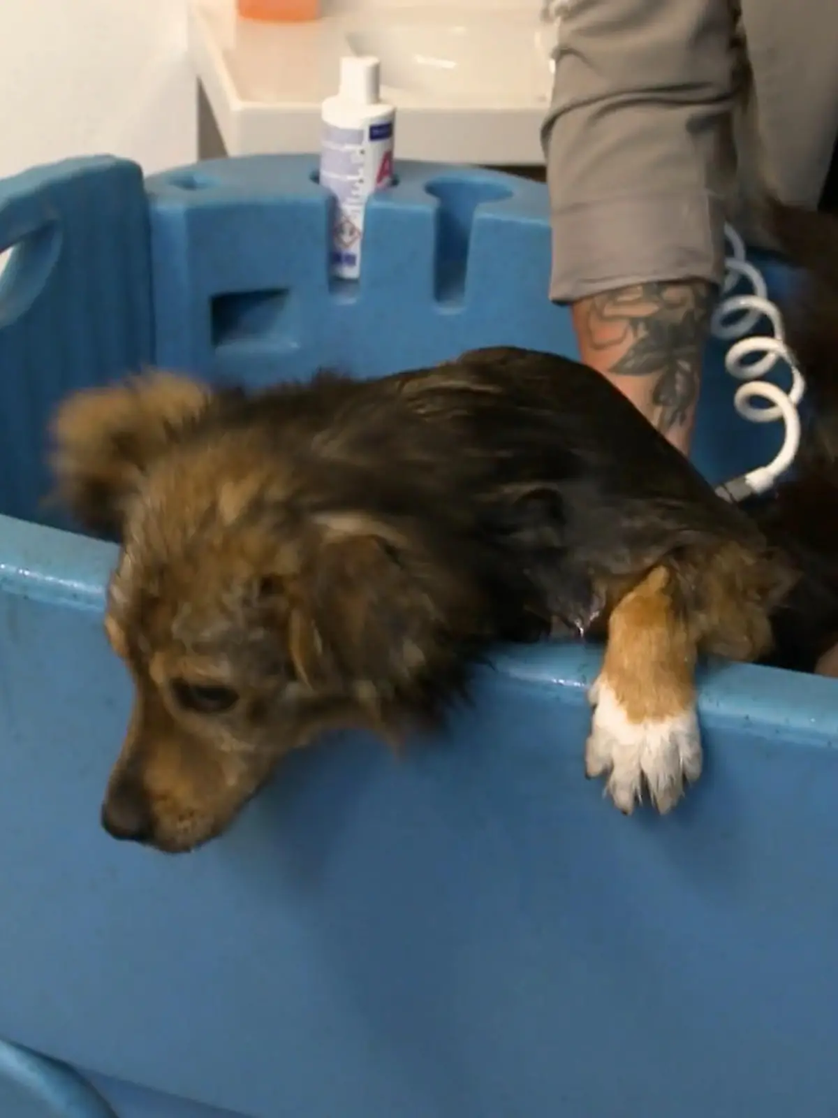 Bild zu: "Nick drückt sich vor der Wanne"