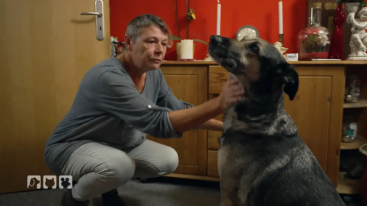 Stellas letzte Chance? Tumor-OP für Stella