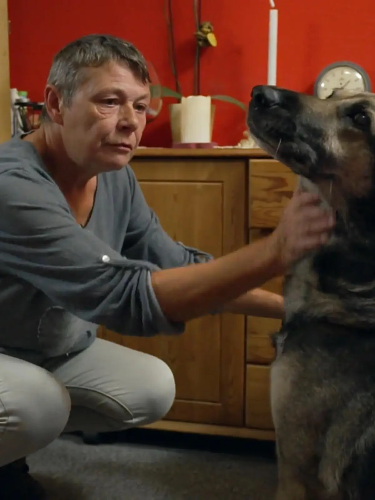 Bild zu: "Stellas letzte Chance?"