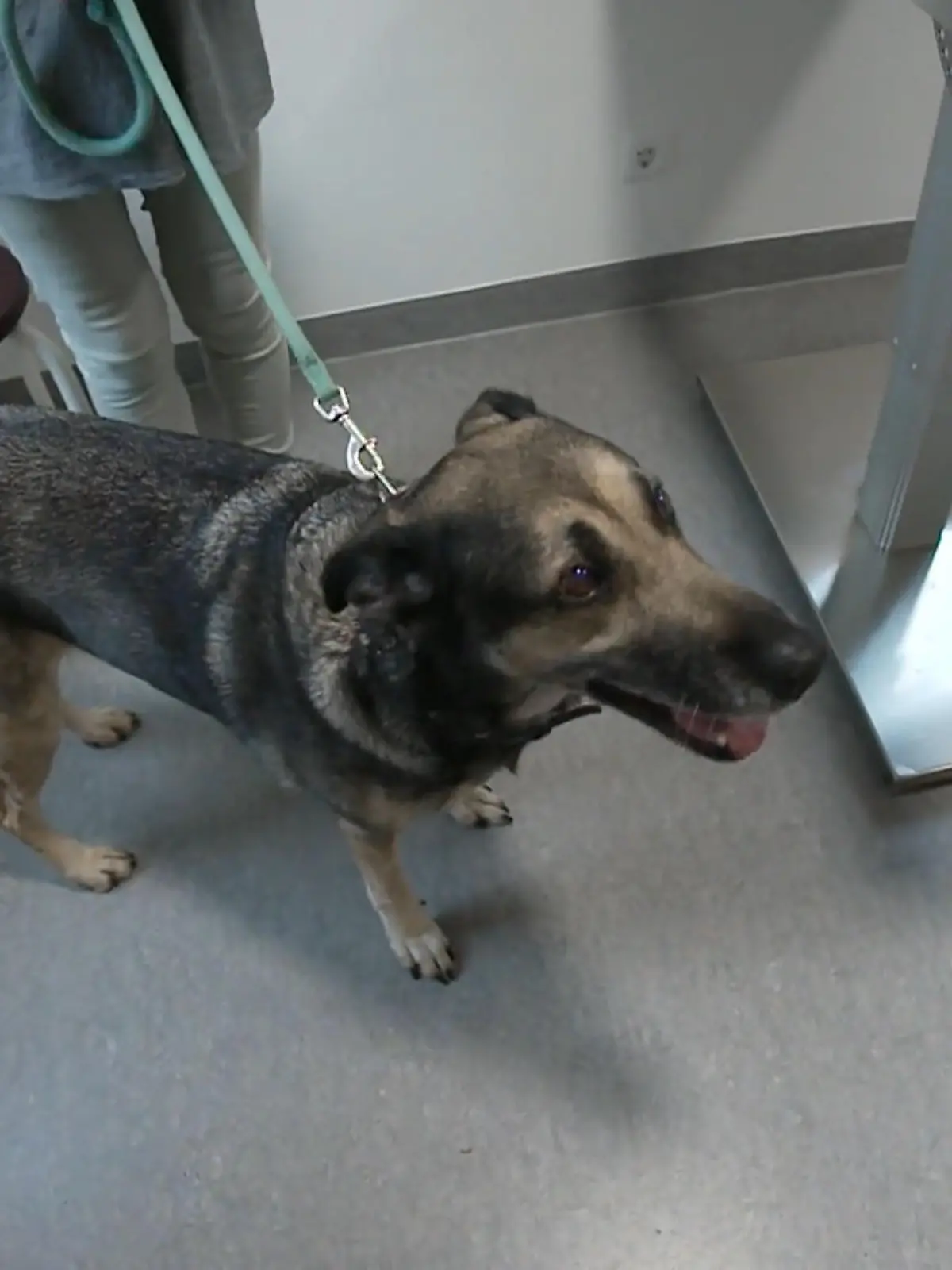 Bild zu: "Erleichterun: Keine Metastasen in der Lunge"